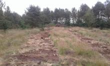 Lande sèche après export (trace des andains de lande)